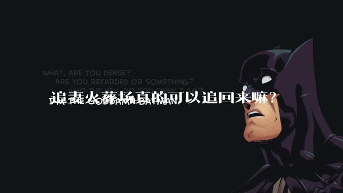 追妻火葬场真的可以追回来嘛？