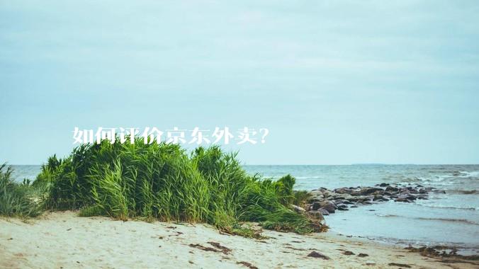 如何评价京东外卖？