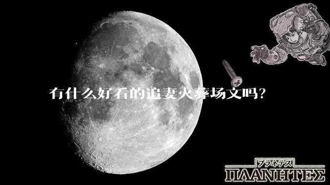 有什么好看的追妻火葬场文吗？