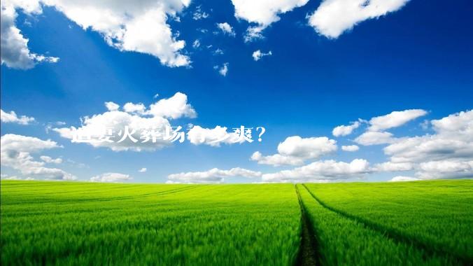 追妻火葬场有多爽？