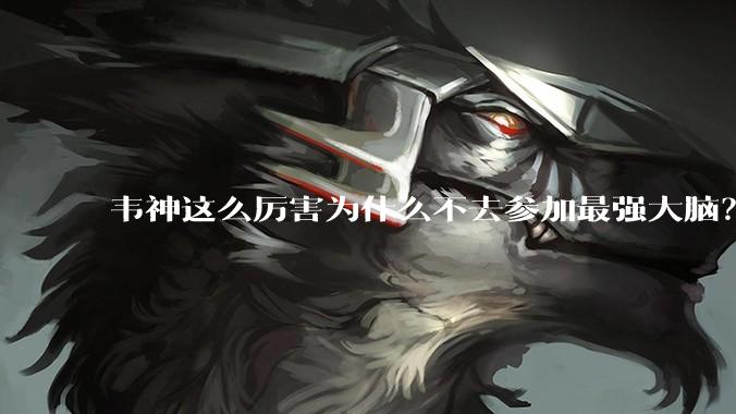 韦神这么厉害为什么不去参加最强大脑？