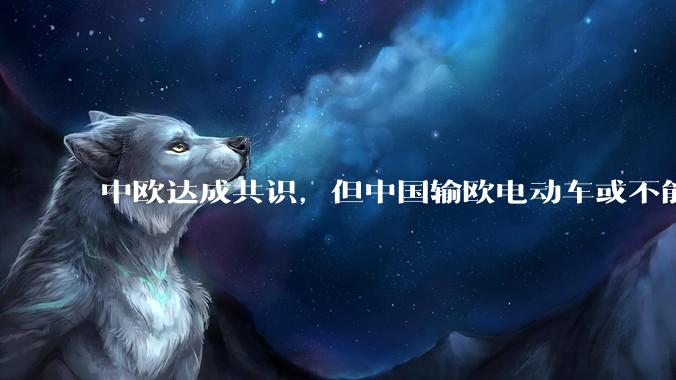 中欧达成共识，但中国输欧电动车或不能低于29万，29万的车在欧洲有竞争力吗？